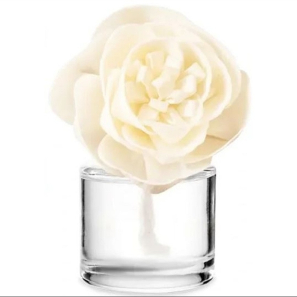 Scentsy Fragrance Flower Blackberry Vanilla